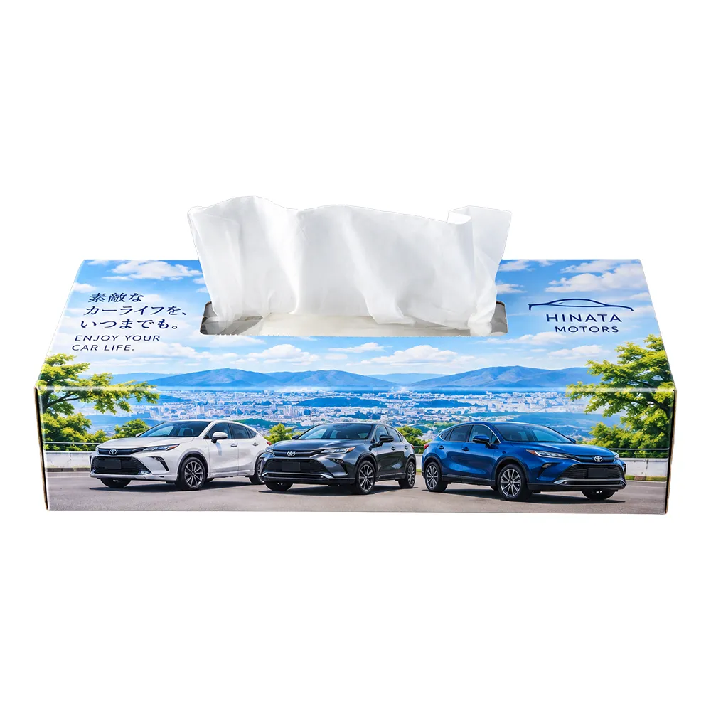 エコボックスティッシュ100W