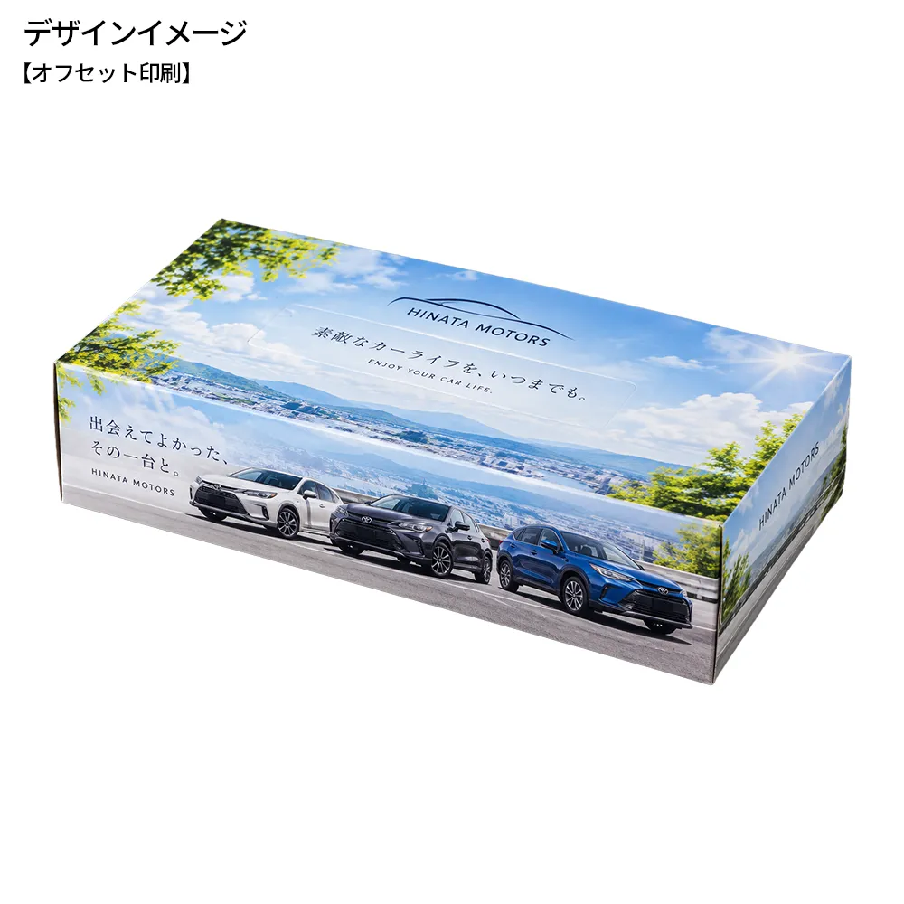 エコボックスティッシュ100W