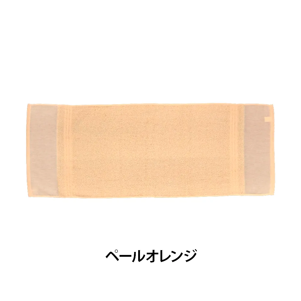 のし付 ご挨拶用カラータオル