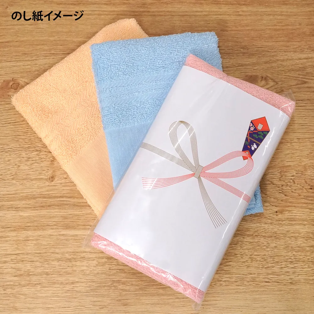 のし付 ご挨拶用カラータオル