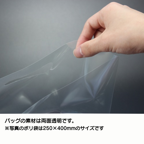 オリジナルポリ袋(250×400mm)両面透明