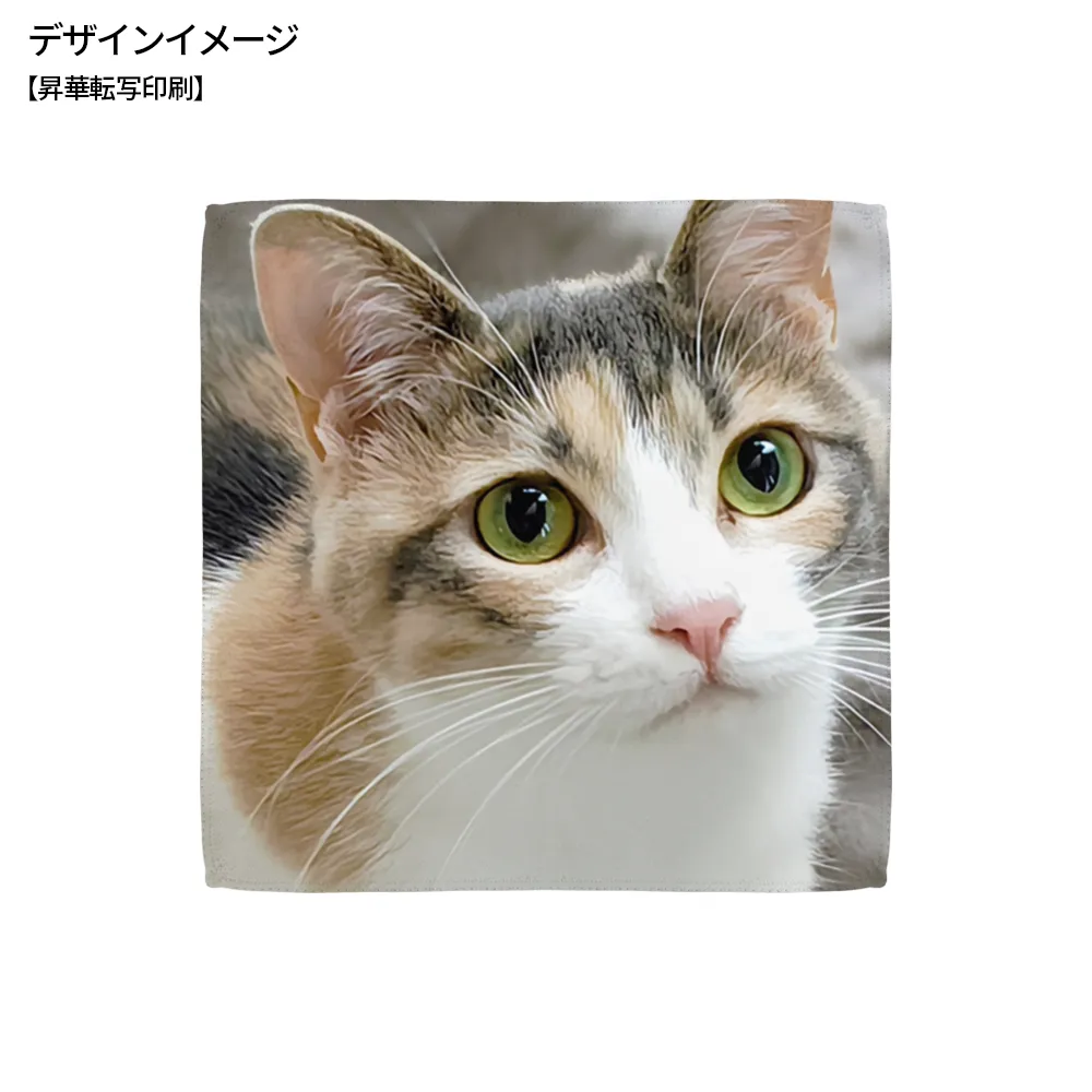 極鮮マイクロファイバーミニハンカチ20cm(フルカラー印刷)