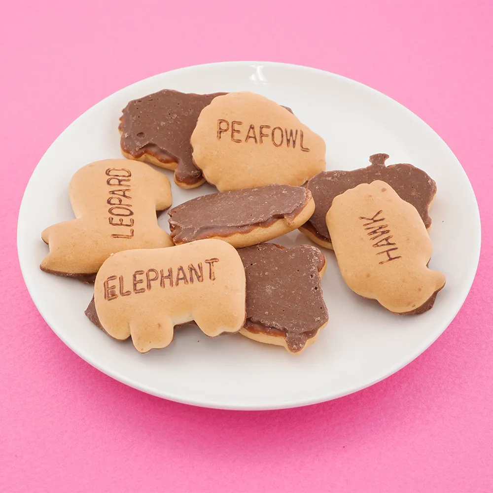 【冬季限定】ギンビス 厚焼きたべっ子どうぶつチョコビスケット(オリジナルチラシ)