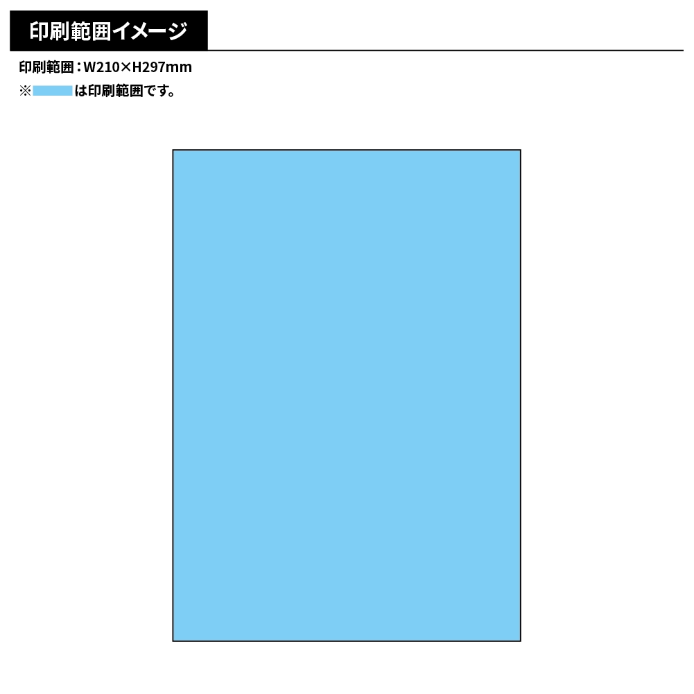 LION 休足時間 足すっきりシート(A4オリジナルチラシ)